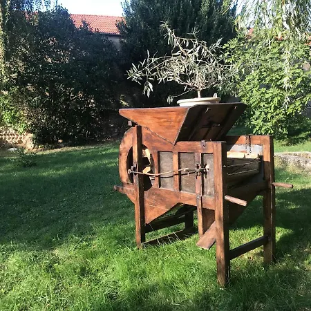 La Saonette *